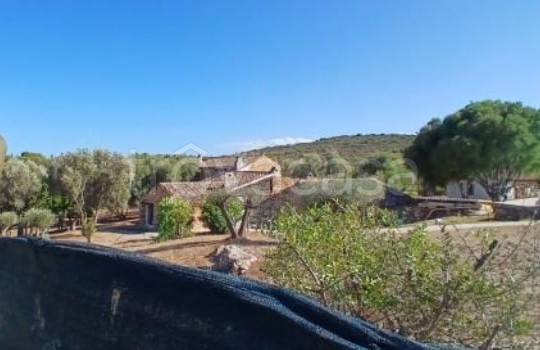 immagine annuncio 5 di 14