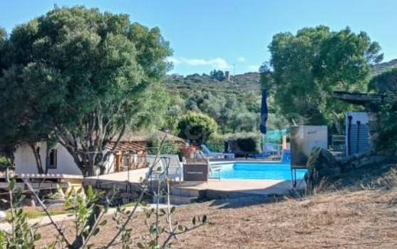 immagine annuncio 6 di 14