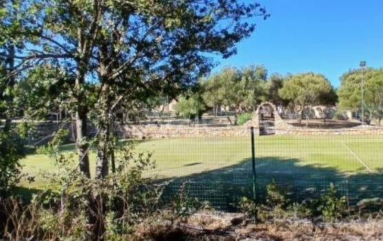 immagine annuncio 7 di 14