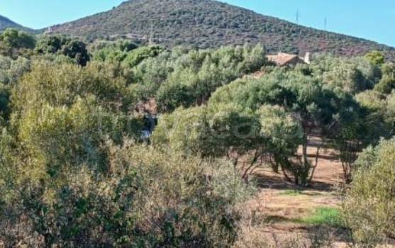 immagine annuncio 8 di 14