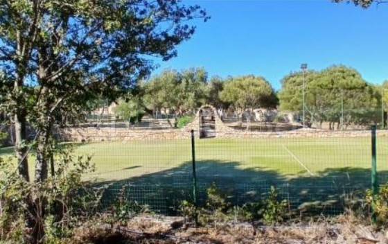 immagine annuncio 9 di 14