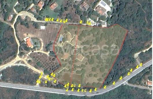 immagine annuncio 13 di 14