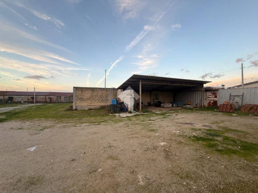 immagine annuncio 7 di 11