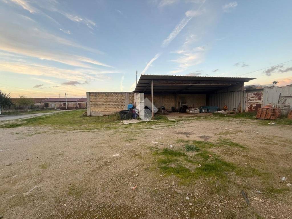 immagine annuncio 8 di 11