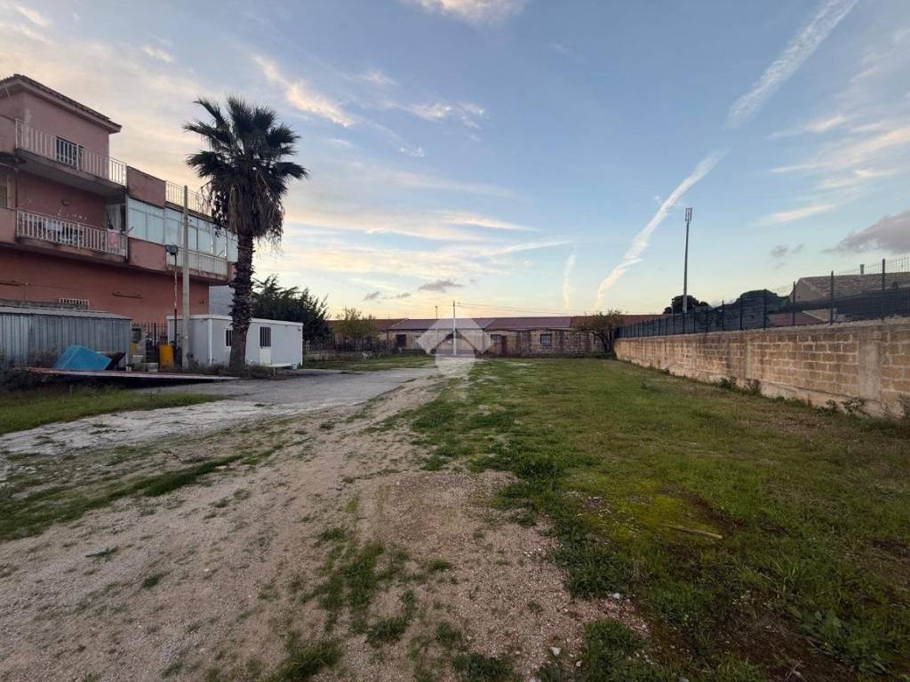 immagine annuncio 9 di 11