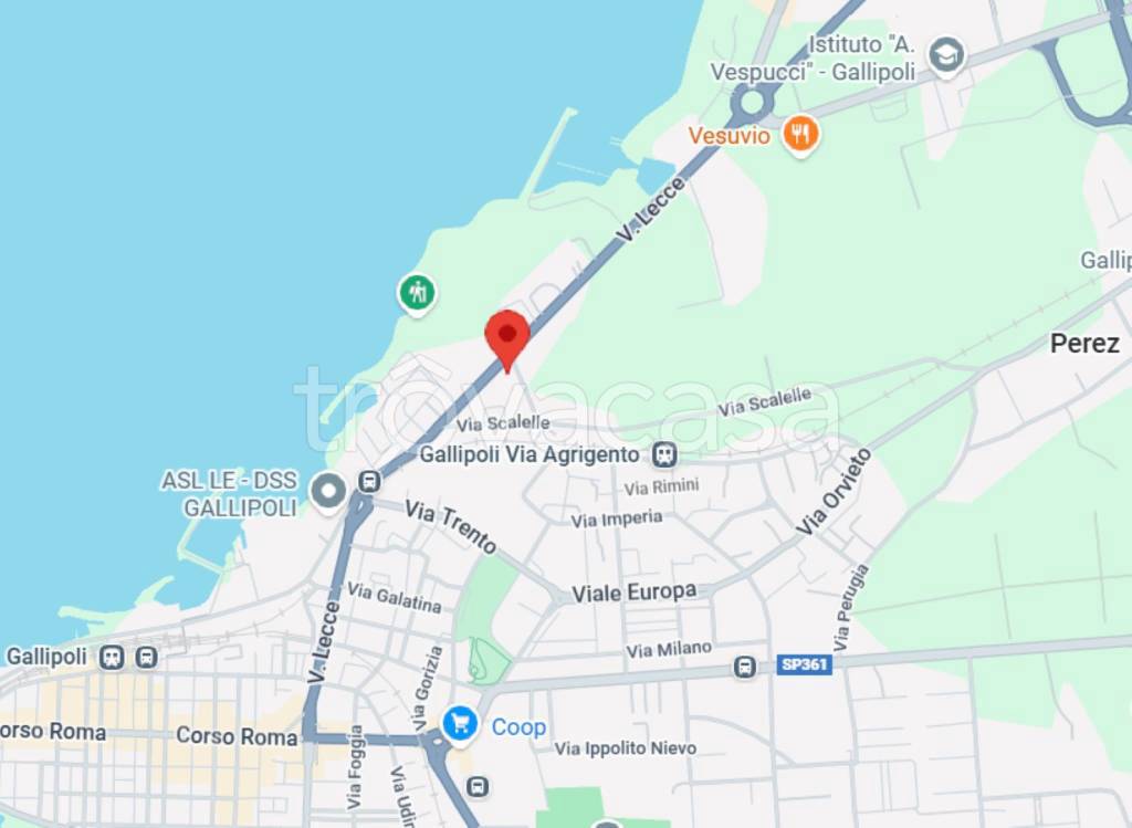 immagine annuncio 3 di 12