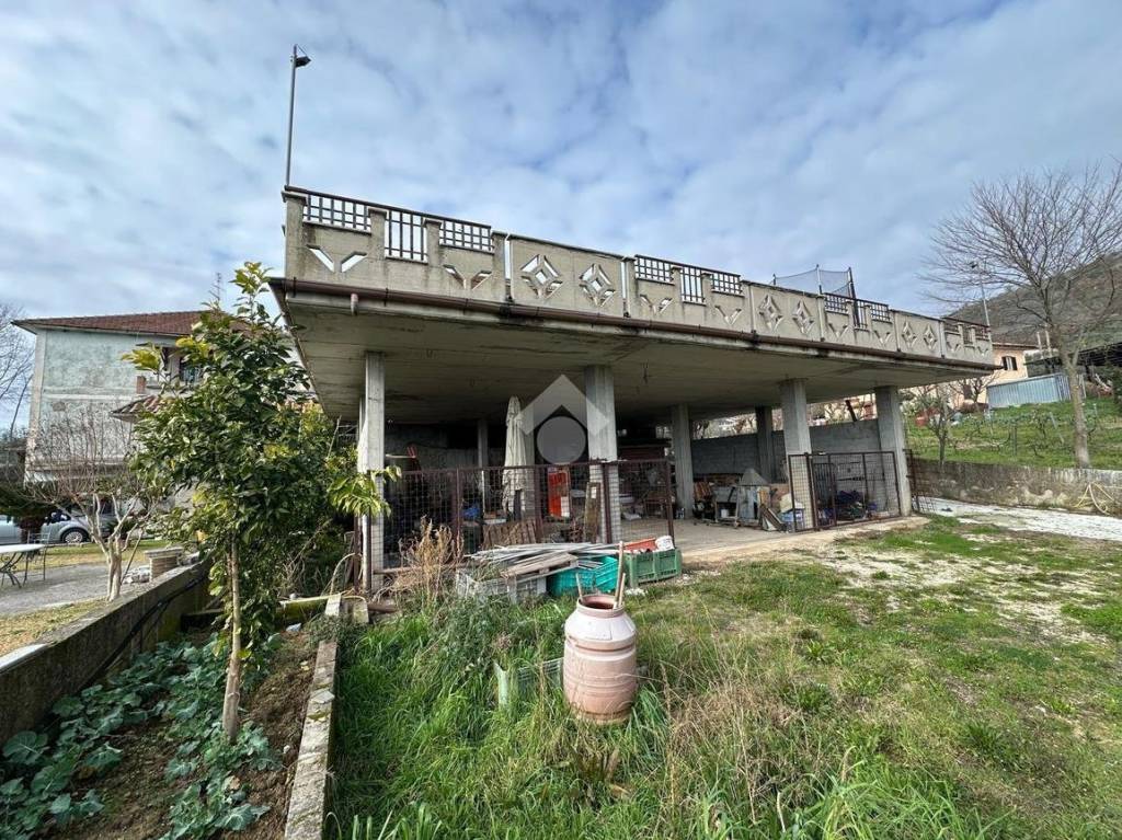 immagine annuncio 6 di 11