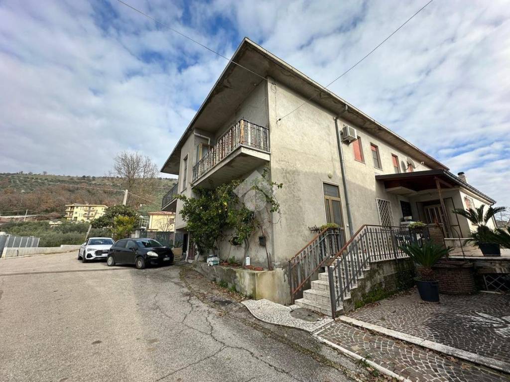 immagine annuncio 7 di 11