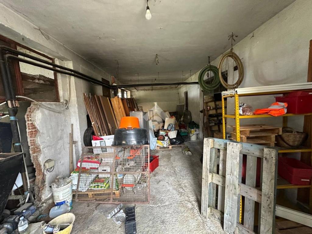 immagine annuncio 8 di 11