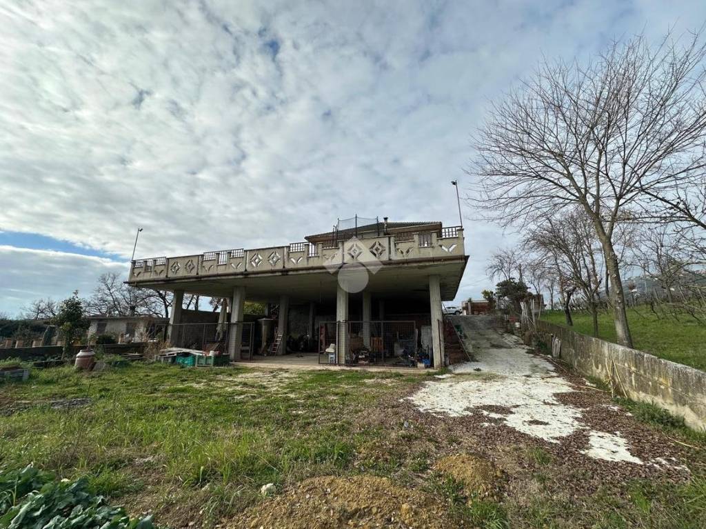 immagine annuncio 10 di 11