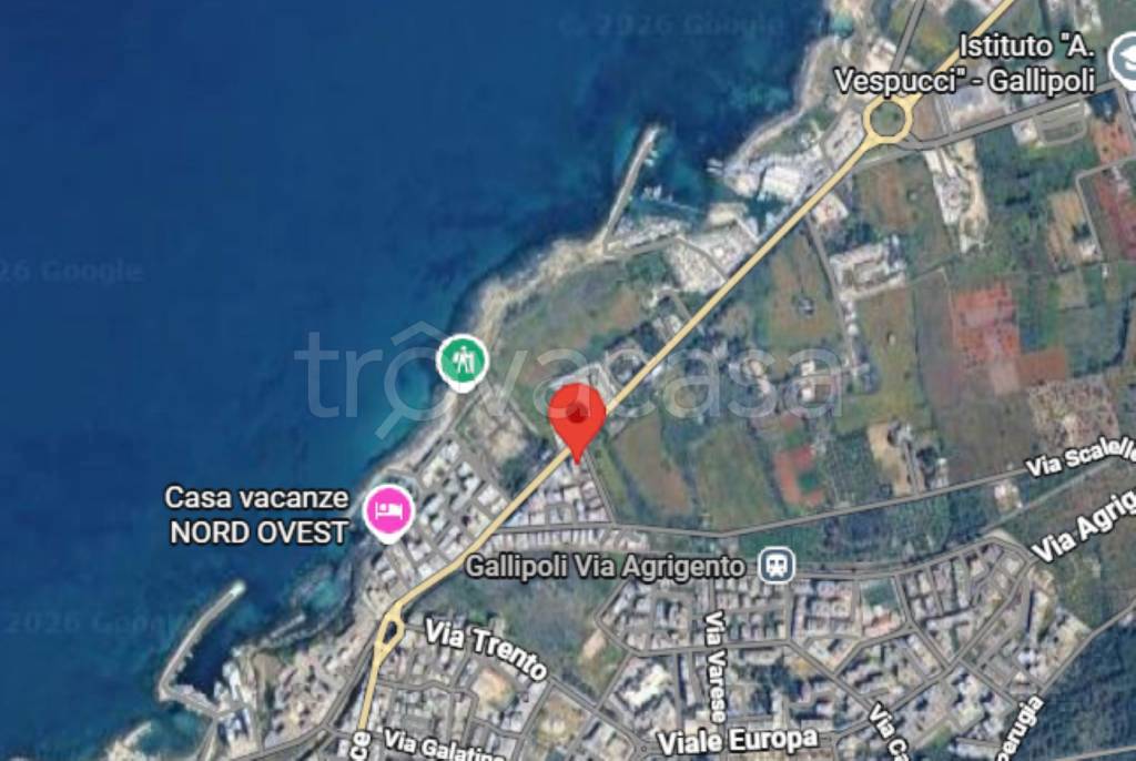 immagine annuncio 4 di 12