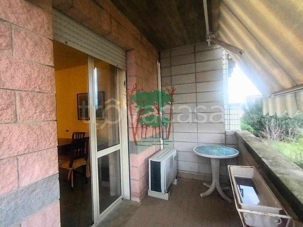 immagine annuncio 12 di 15