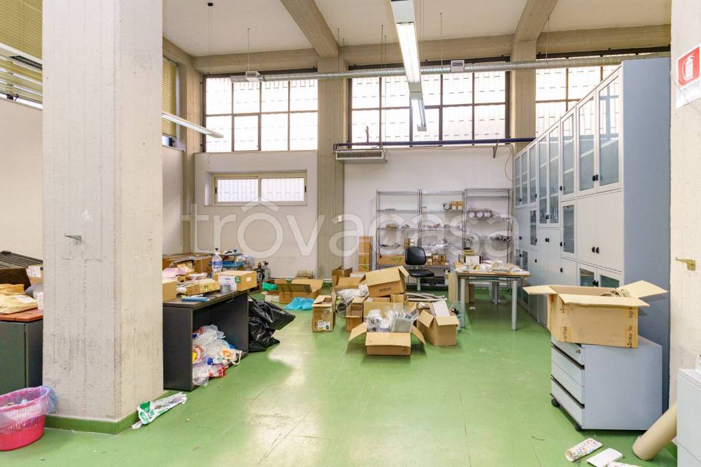 immagine annuncio 3 di 15