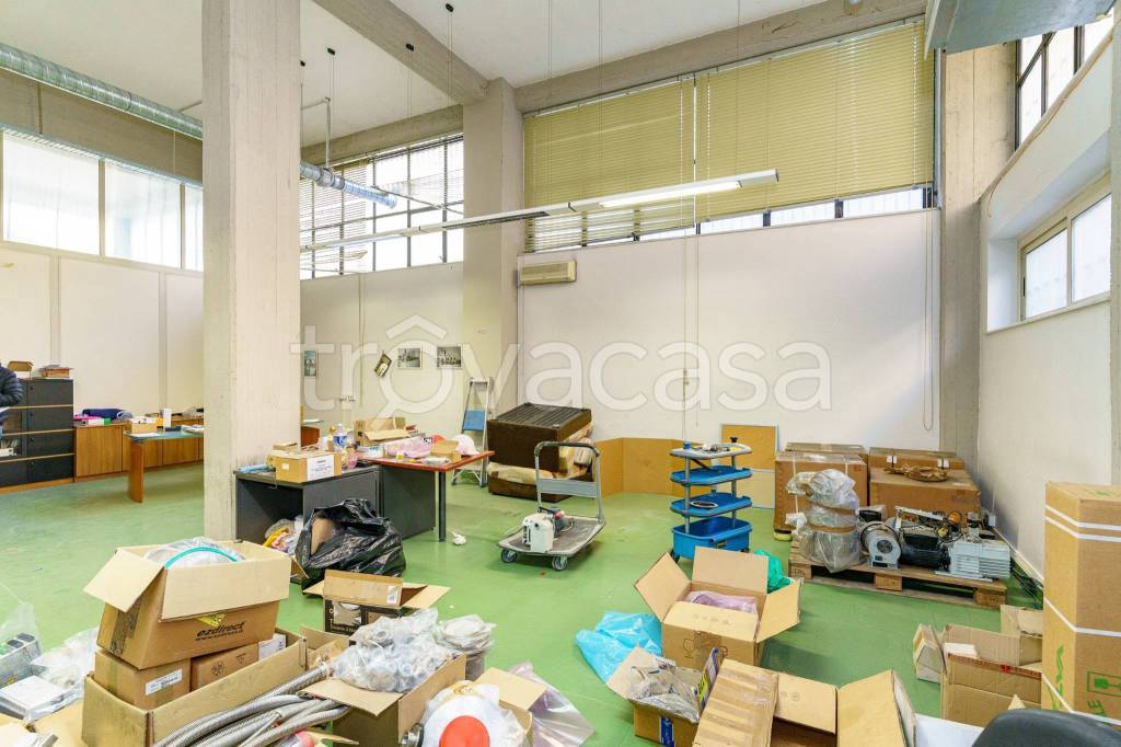 immagine annuncio 6 di 15