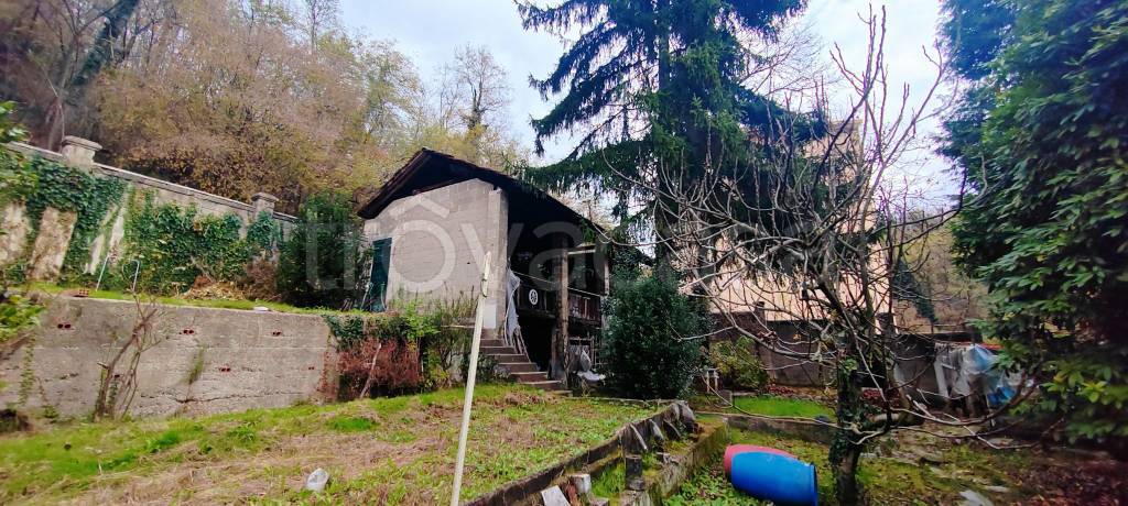 immagine annuncio 6 di 15