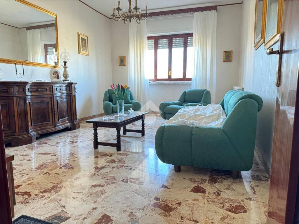 immagine annuncio 12 di 14