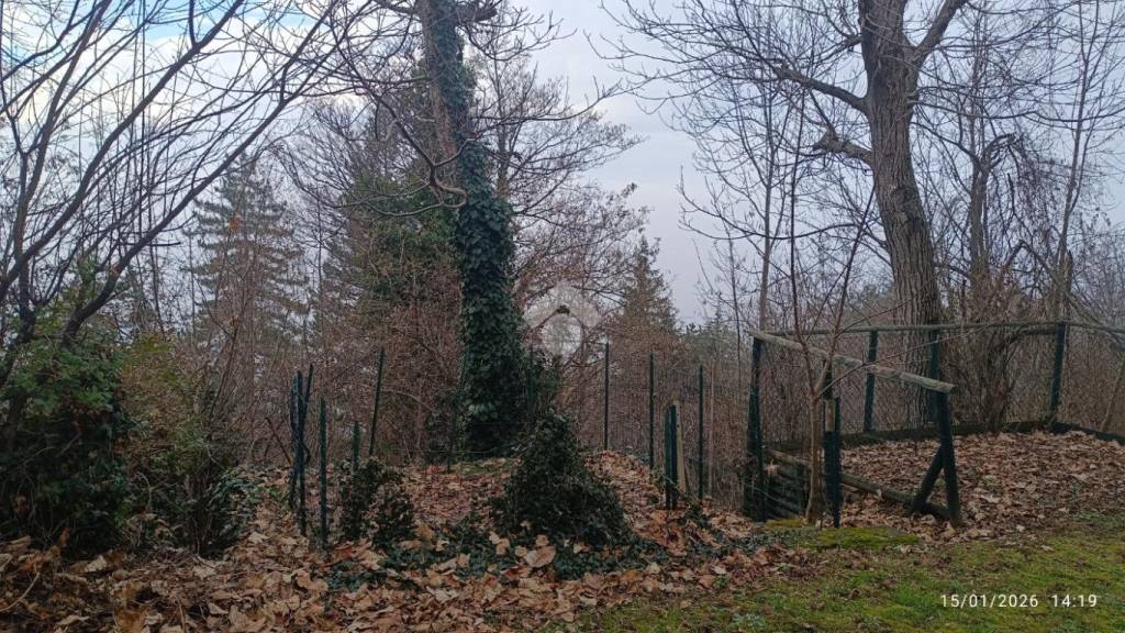 immagine annuncio 4 di 13