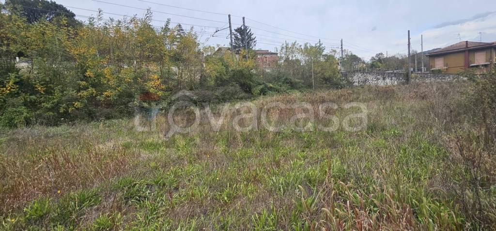 immagine annuncio 2 di 7