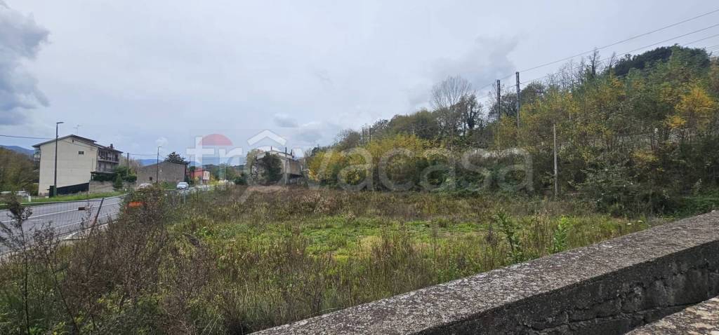 immagine annuncio 5 di 7