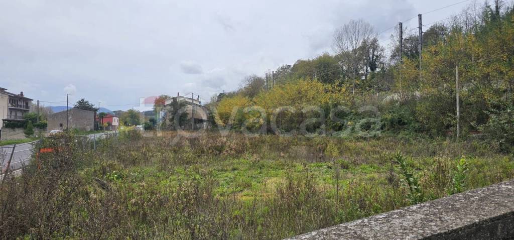 immagine annuncio 6 di 7