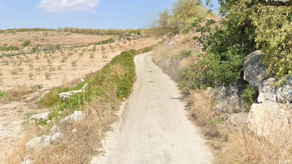 immagine annuncio 3 di 11