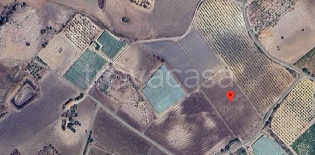 immagine annuncio 8 di 11