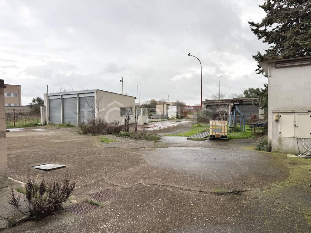 immagine annuncio 2 di 7