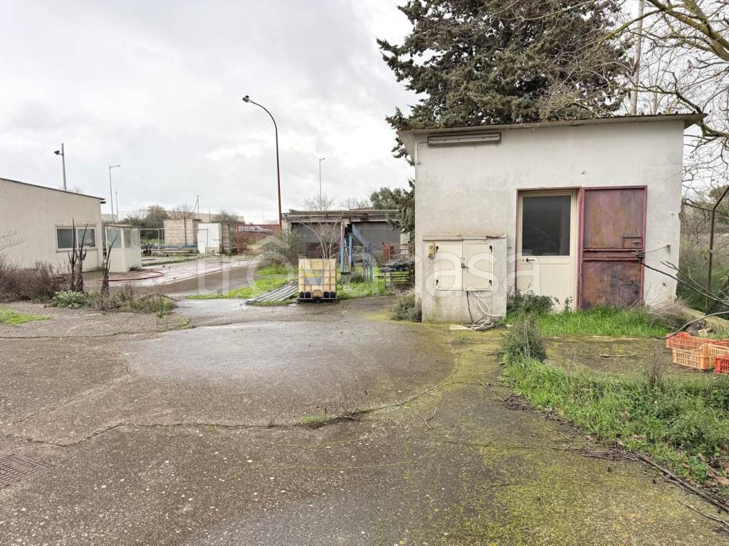 immagine annuncio 3 di 7