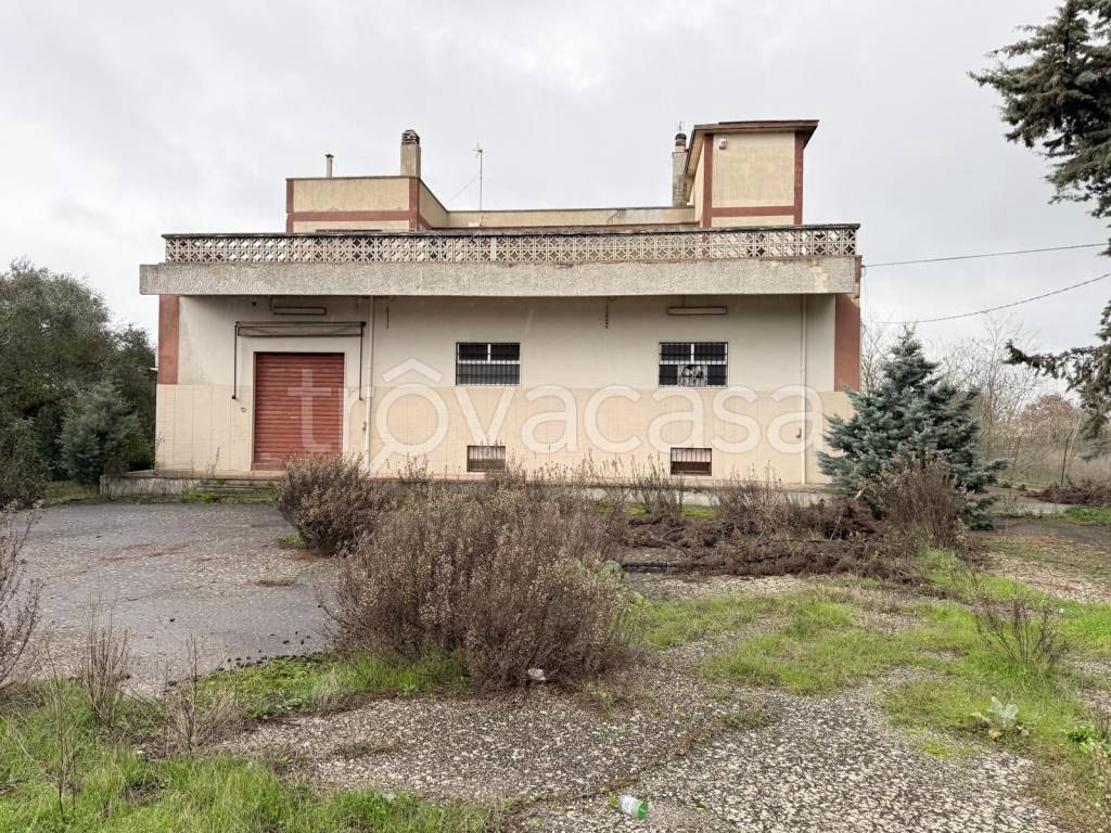 immagine annuncio 4 di 7