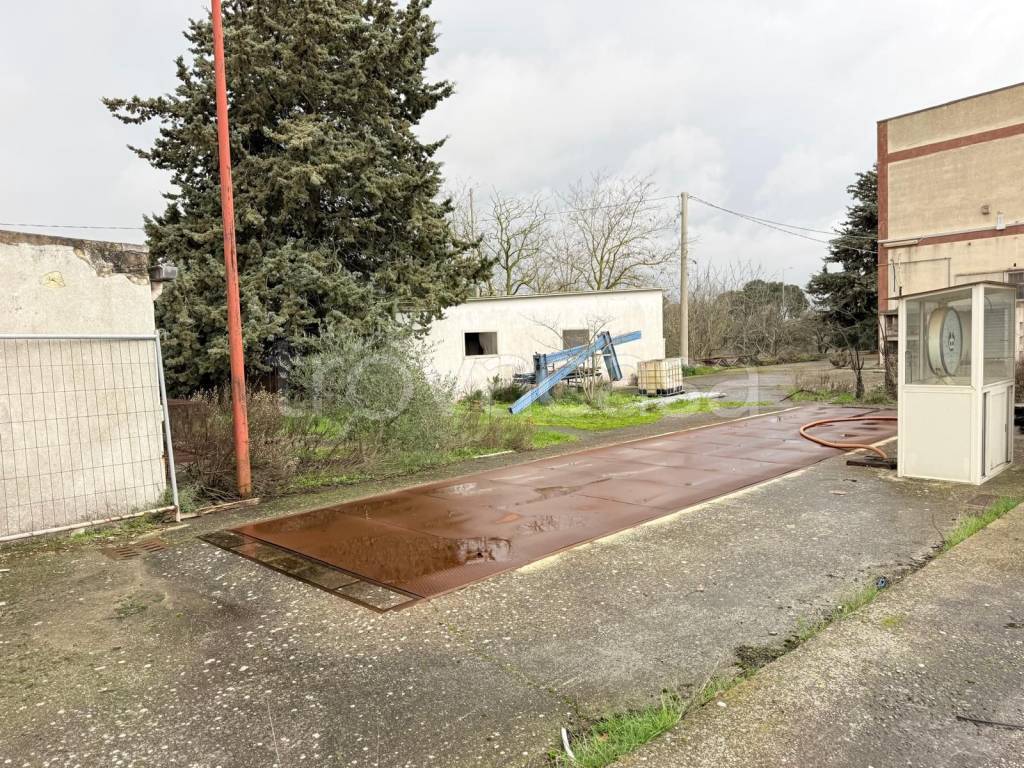 immagine annuncio 5 di 7