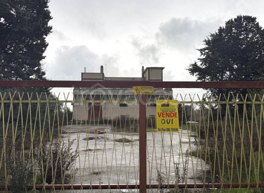 immagine annuncio 6 di 7