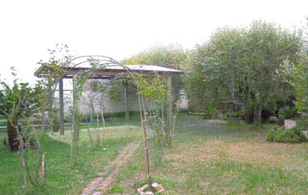 immagine annuncio 11 di 14