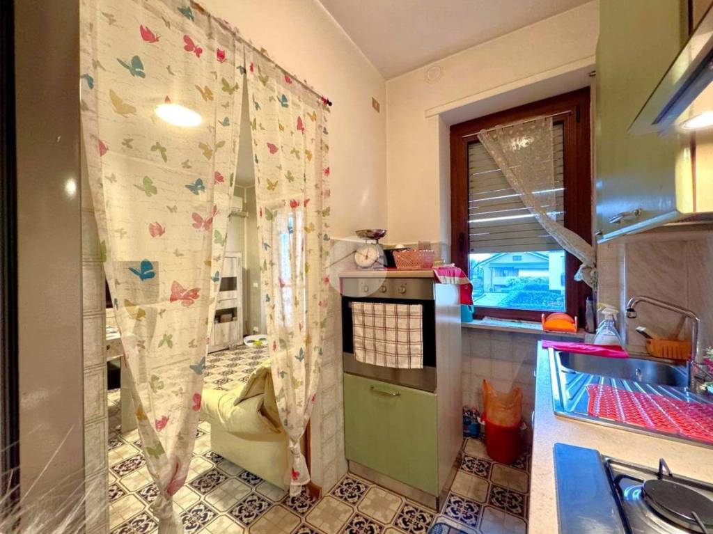 immagine annuncio 6 di 15