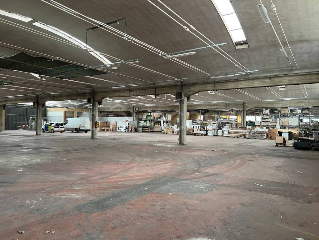 immagine annuncio 2 di 11