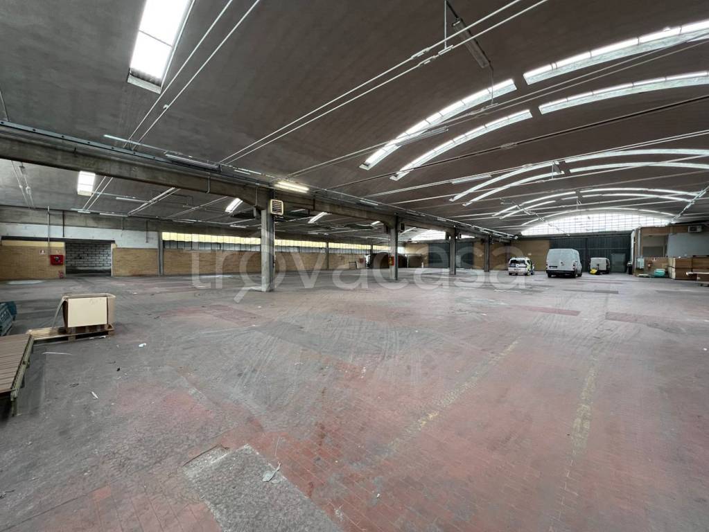 immagine annuncio 3 di 11