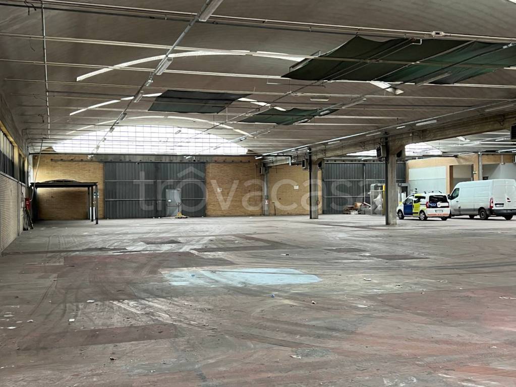 immagine annuncio 6 di 11