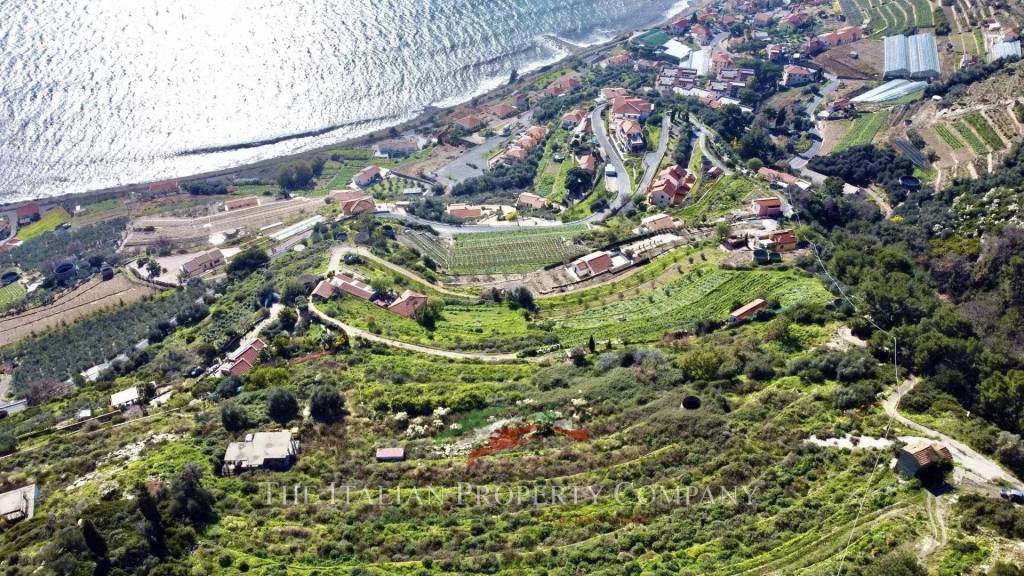 immagine annuncio 4 di 11