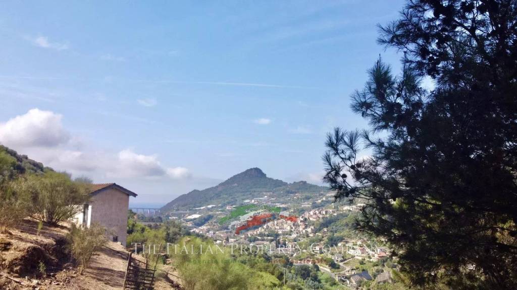 immagine annuncio 3 di 6