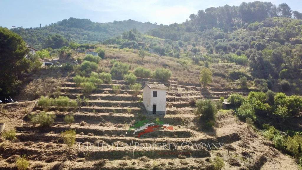 immagine annuncio 5 di 6