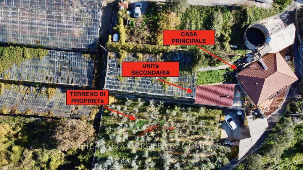 immagine annuncio 13 di 14