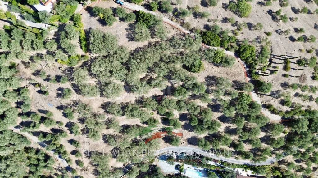 immagine annuncio 4 di 7