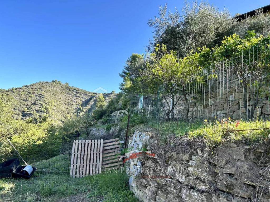 immagine annuncio 2 di 13