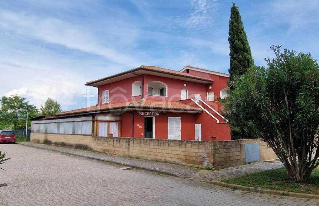 immagine annuncio 14 di 15