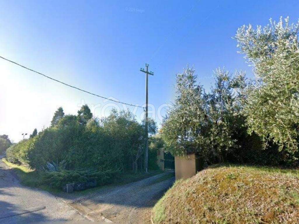 immagine annuncio 2 di 11