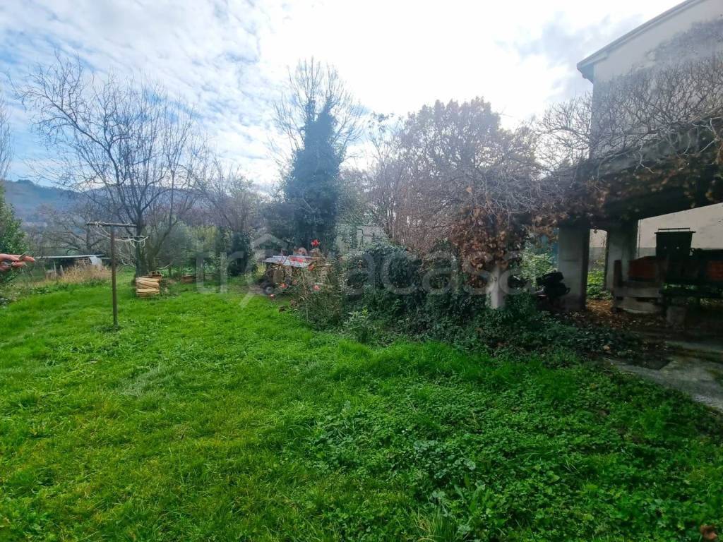 immagine annuncio 3 di 6