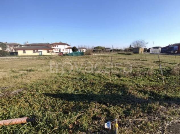 immagine annuncio 2 di 8