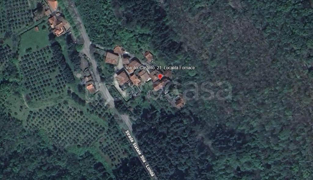 immagine annuncio 1 di 13