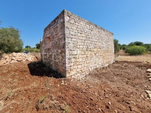 immagine annuncio 8 di 12