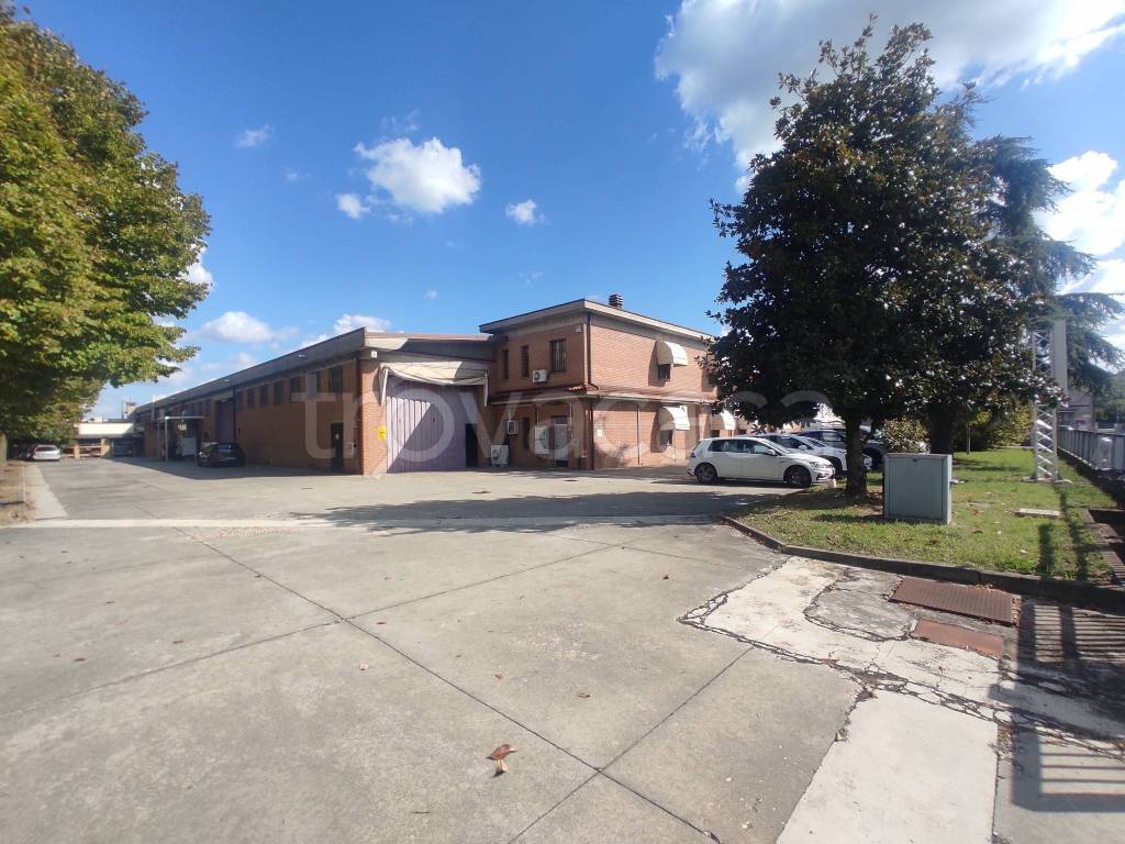 immagine annuncio 2 di 10