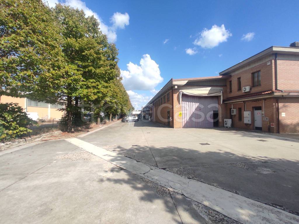 immagine annuncio 4 di 10